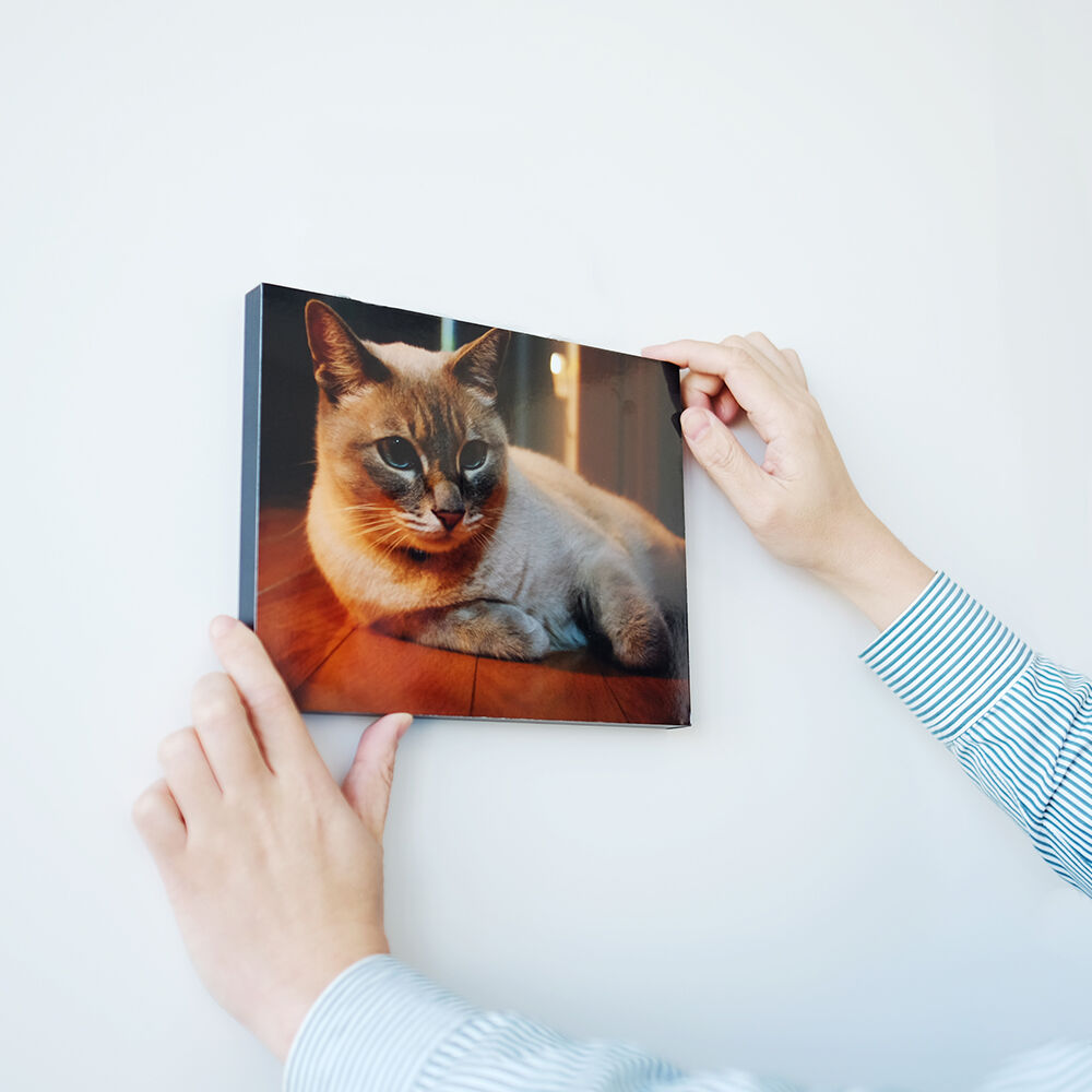 WALL DECOR カジュアル | コイデカメラ ネットプリントサービス